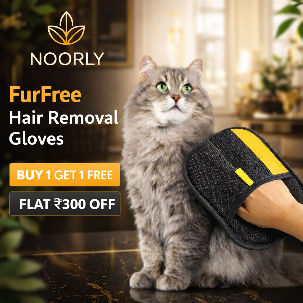 Noorly FurFree™