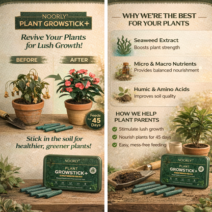 Noorly Plant GrowStick+